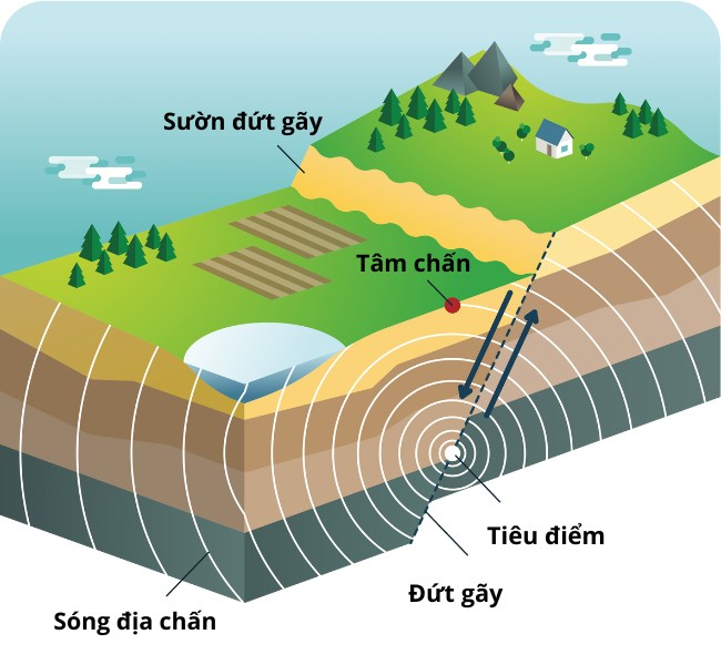 Chiến Lược Tâm Chấn Trong Kinh Doanh