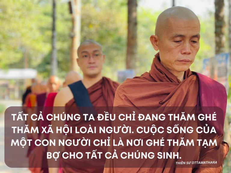 ♦️ Bé Hà Giang: Thưa Sư. Con hổ, con báo hay ăn thịt những loài vật khác thì kiếp sau nó sẽ tái sinh như thế nào. Nó có cơ hội trở thành người không ạ?