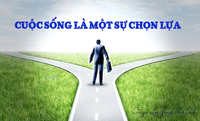 Cuộc sống là một sự lựa chọn: Chọn hạnh phúc, chánh niệm, và trí tuệ để tạo nên con người bạn