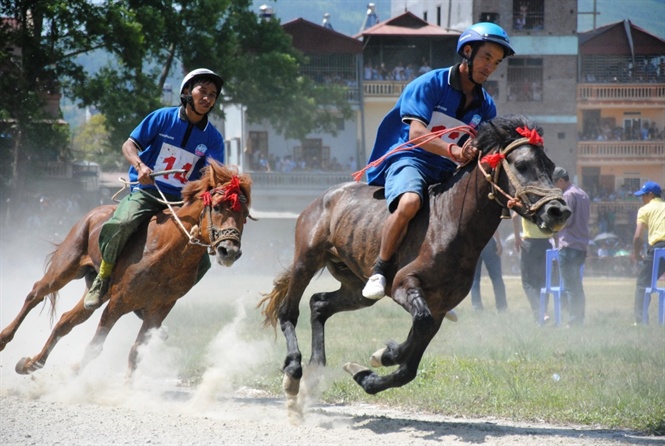 Đua ngựa mới biết ngựa hay