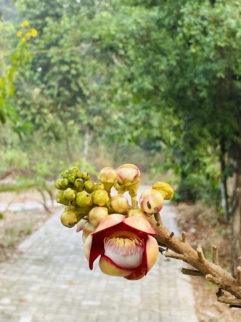 Bình An Đến Từ Tâm Hồn