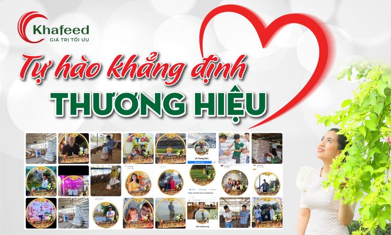 Khafeed – Biểu Tượng Đổi Mới và Cam Kết Vững Bền