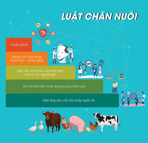 Ảnh Hưởng Của Luật Chăn Nuôi Đối Với Ngành Nông Nghiệp