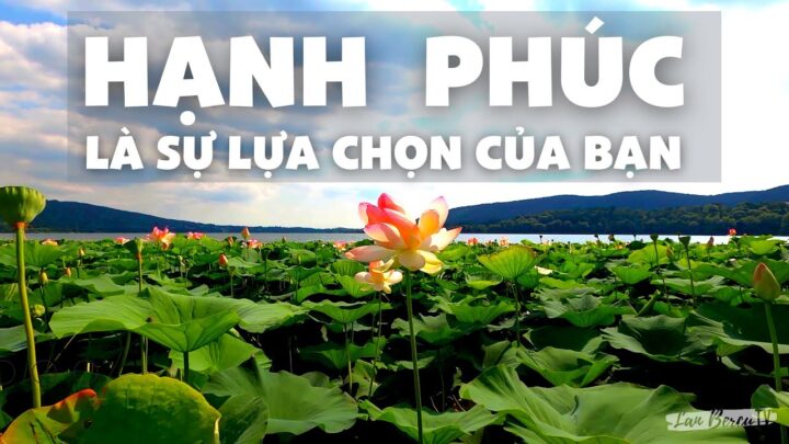 hanh phuc la su lua chon